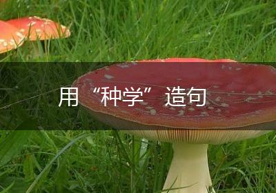 用“种学”造句