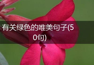 有关绿色的唯美句子(50句)