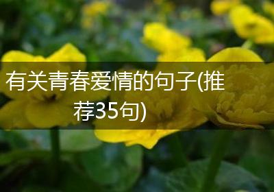 有关青春爱情的句子(推荐35句)