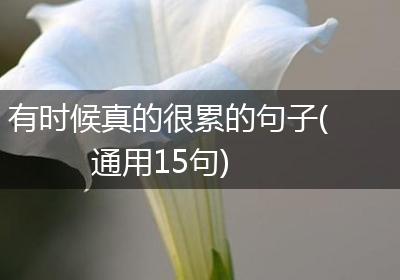 有时候真的很累的句子(通用15句)