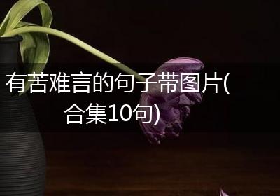 有苦难言的句子带图片(合集10句)