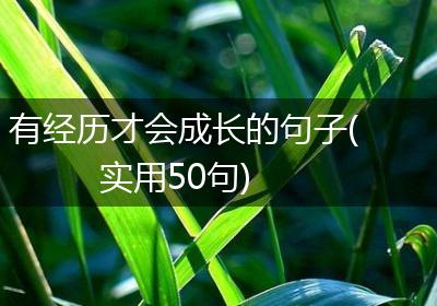 有经历才会成长的句子(实用50句)