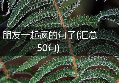朋友一起疯的句子(汇总50句)