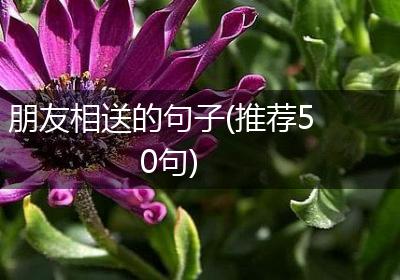 朋友相送的句子(推荐50句)