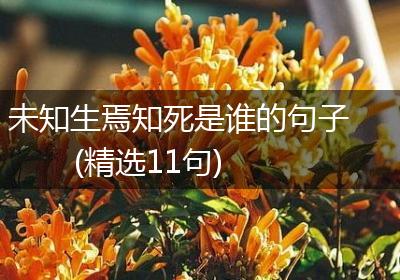 未知生焉知死是谁的句子(精选11句)