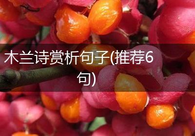 木兰诗赏析句子(推荐6句)
