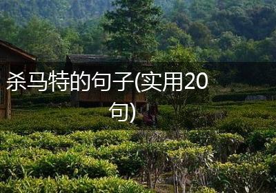 杀马特的句子(实用20句)