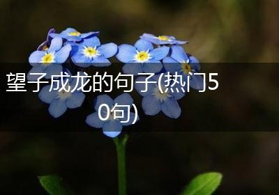 望子成龙的句子(热门50句)