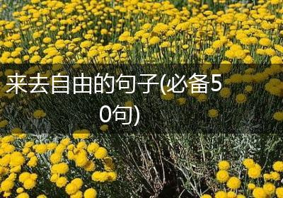 来去自由的句子(必备50句)