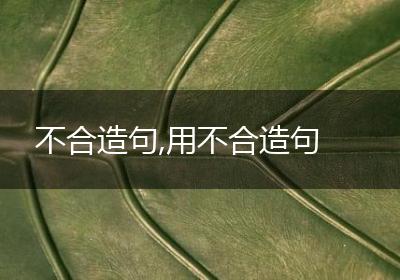 不合造句,用不合造句