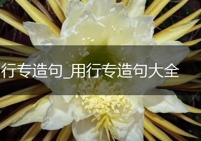 行专造句_用行专造句大全