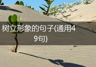 树立形象的句子(通用49句)