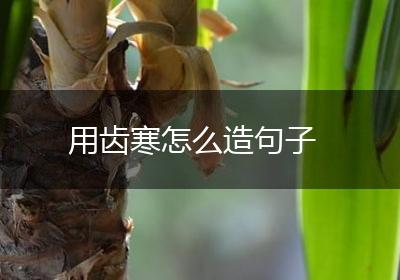 用齿寒怎么造句子