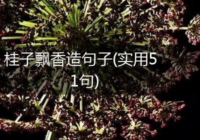 桂子飘香造句子(实用51句)