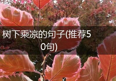 树下乘凉的句子(推荐50句)