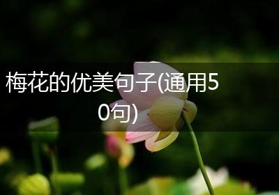 梅花的优美句子(通用50句)