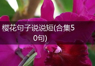 樱花句子说说短(合集50句)