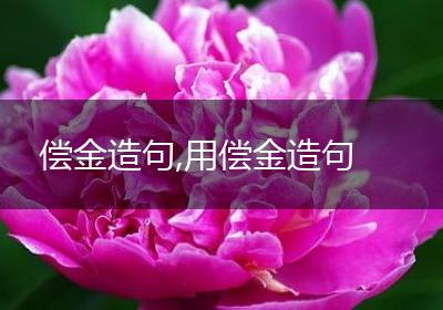 偿金造句,用偿金造句