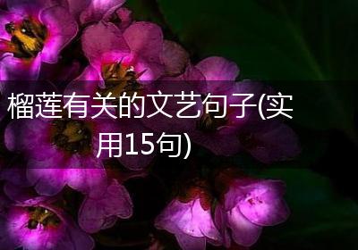 榴莲有关的文艺句子(实用15句)