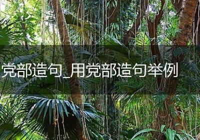 党部造句_用党部造句举例