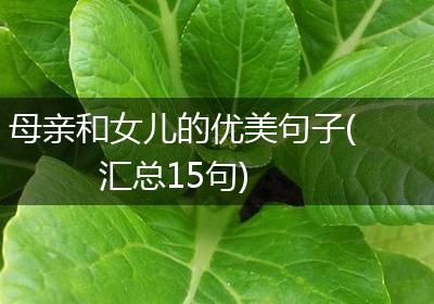 母亲和女儿的优美句子(汇总15句)