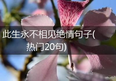 此生永不相见绝情句子(热门20句)