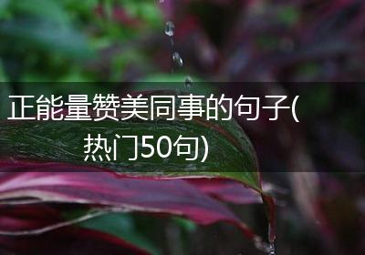 正能量赞美同事的句子(热门50句)