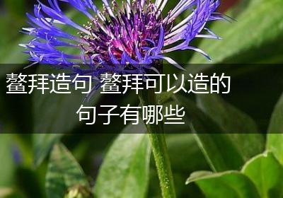 鳌拜造句 鳌拜可以造的句子有哪些