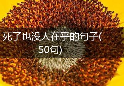 死了也没人在乎的句子(50句)