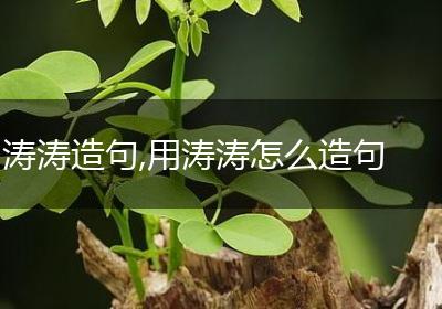 涛涛造句,用涛涛怎么造句