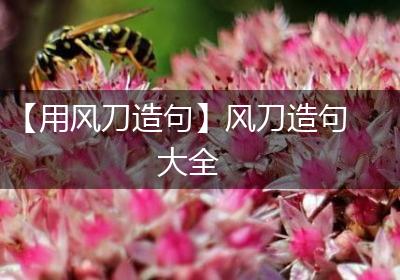 【用风刀造句】风刀造句大全