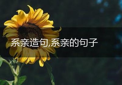 系亲造句,系亲的句子