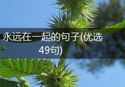 永远在一起的句子(优选49句)