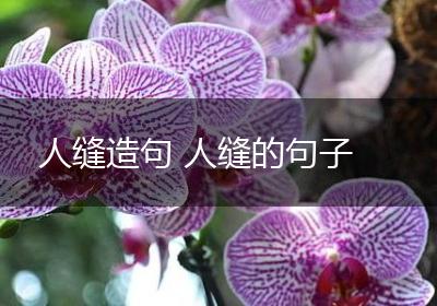 人缝造句 人缝的句子