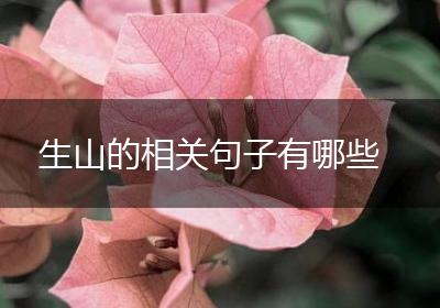生山的相关句子有哪些