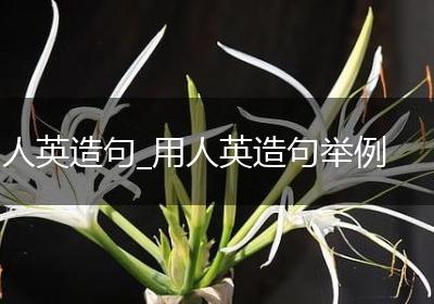 人英造句_用人英造句举例