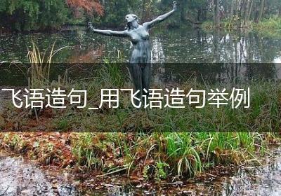 飞语造句_用飞语造句举例
