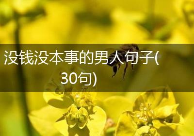 没钱没本事的男人句子(30句)