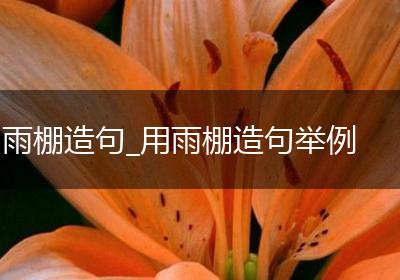 雨棚造句_用雨棚造句举例