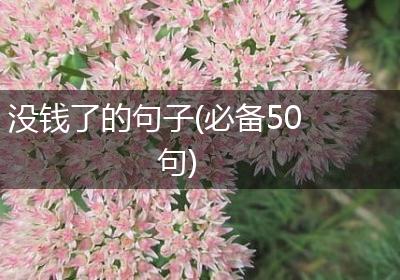 没钱了的句子(必备50句)