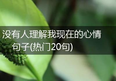 没有人理解我现在的心情句子(热门20句)