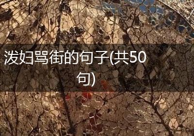 泼妇骂街的句子(共50句)