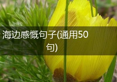 海边感慨句子(通用50句)