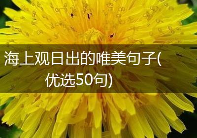 海上观日出的唯美句子(优选50句)