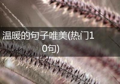 温暖的句子唯美(热门10句)