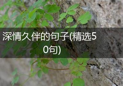 深情久伴的句子(精选50句)