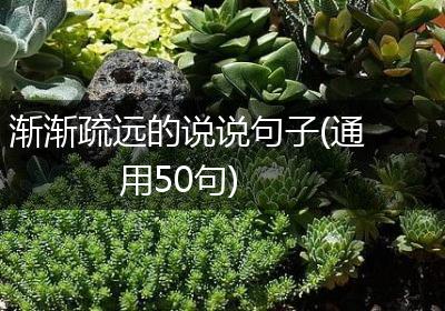 渐渐疏远的说说句子(通用50句)
