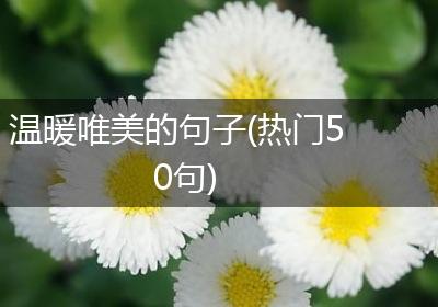 温暖唯美的句子(热门50句)