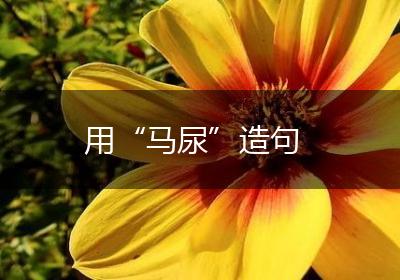 用“马尿”造句