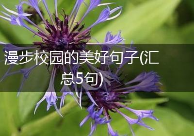 漫步校园的美好句子(汇总5句)